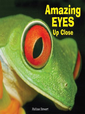 cover image of Amazing Eyes Up Close